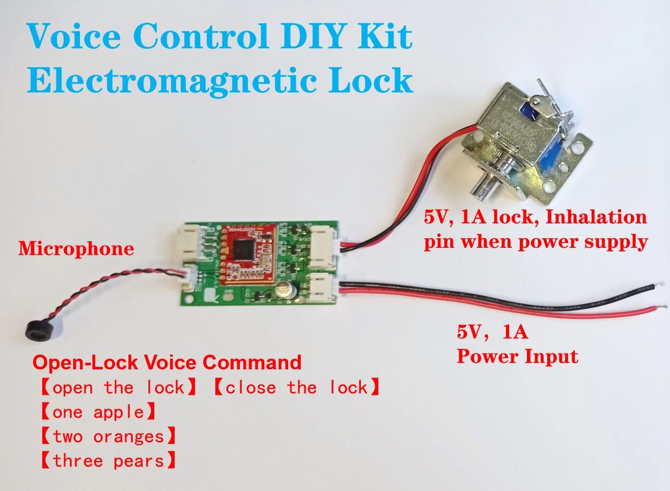 DYVL02 Voice Lock Voice Recognition Controll  Password Open SecretLanguage DIY Creativity Door ElectromagneticLock SFO-0615S-10