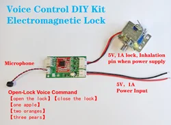 DYVL02 Voice Lock Voice Recognition Controll  Password Open SecretLanguage DIY Creativity Door ElectromagneticLock SFO-0615S-10