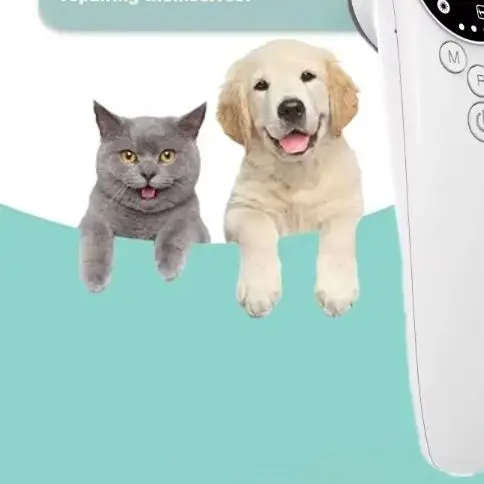 Veterinary Laser Physiotherapy Equipment, 808nm/650nm for Deep Tissue Treatment and Pain Relief in Animals