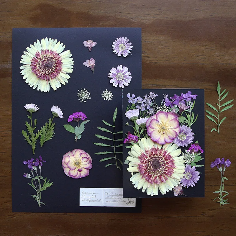 Children's Dried Flower Embossed Decorative Plant Specimen Painting Petals Material Package Handmade DIY Photo Frame Glue Embossed Flower Table Lamp Flower Material