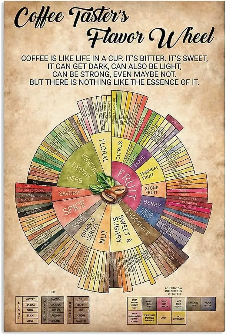 Y1,Coffee Taster;s Flavor Wheel Metal Signs Wall Decor Posters Coffee Knowledge Room Club Garage Office Studio es