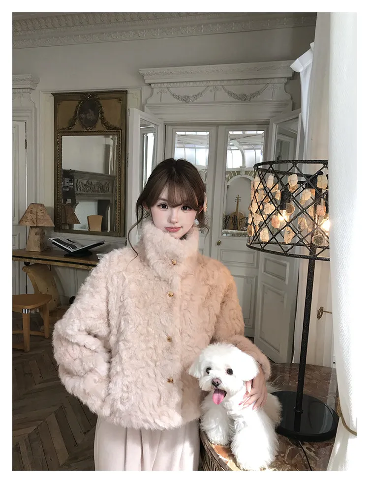 Korean Stand Collar Plush Jacket for Women Winter Thick Fluffy Cropped Faux Fur Coat Woman Loose Sweet Single Breasted Outerwear