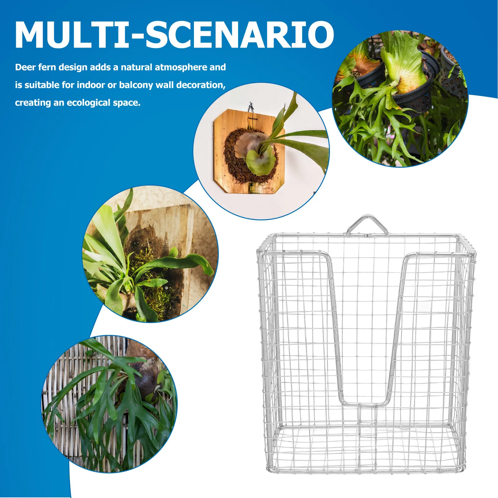 Stainless Steel Wall Hanging Plant Basket Vertical Garden Holder for Orchid Staghorn Fern Home Decor view 4