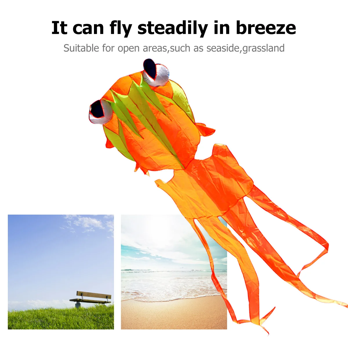 カラフルな金魚凧 大型 シングルライン 飛行安定 屋外 公園 ビーチ スポーツツール 子供 大人へのギフト
