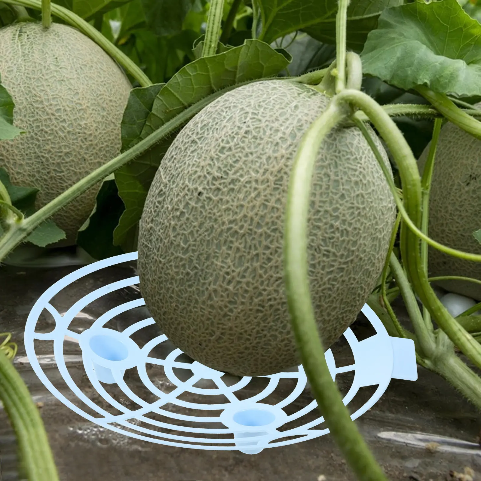 10Pcs Fine Craftsmanship Strawberry Support Racks Plastic Growing Frame for Healthy Upright Plants Garden Strawberry Holder