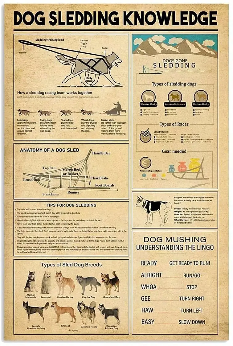 1p Dog Sledding Knowledge Retro Metal Tin Sign Anatomy Of A Dog Sled Printing Poster Club Bar Cafe Living Room Garage Home Art W