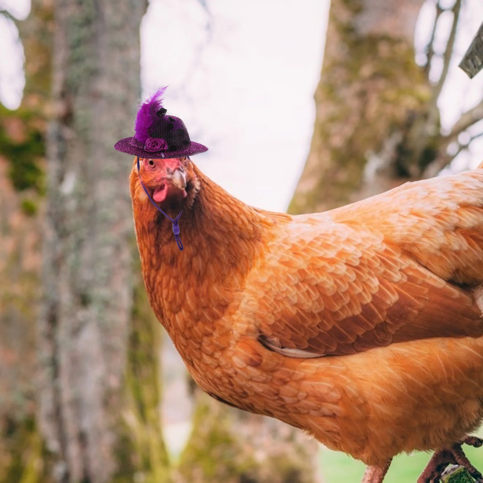 

6Pcs Hen Accessories Cute Chicken Hats for Pets Adjustable Straps Soft Material Adorable Pet Costumes Chicken Hats