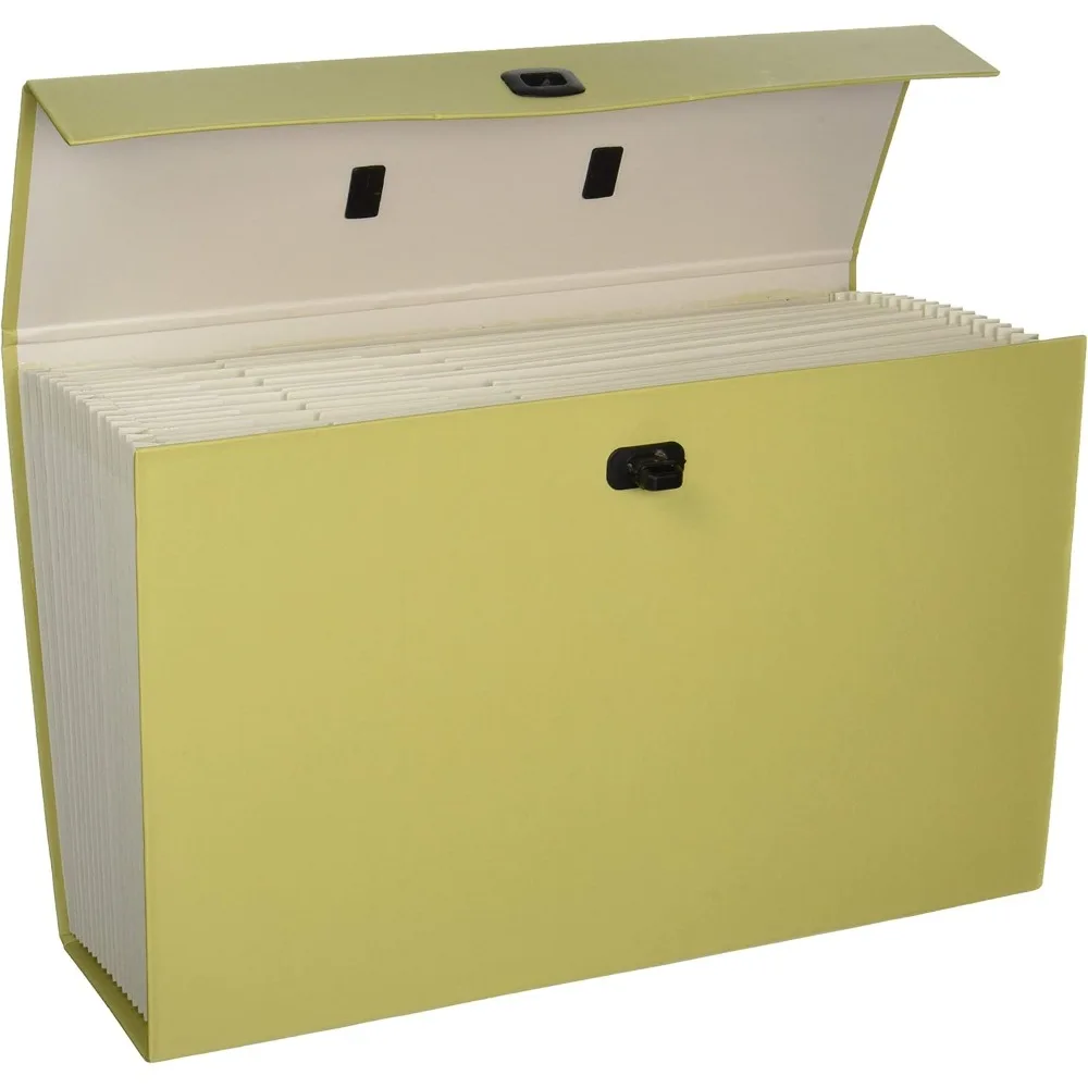 Portable expansion file box, 19 pockets, blank label, printed label, latch close, legal size