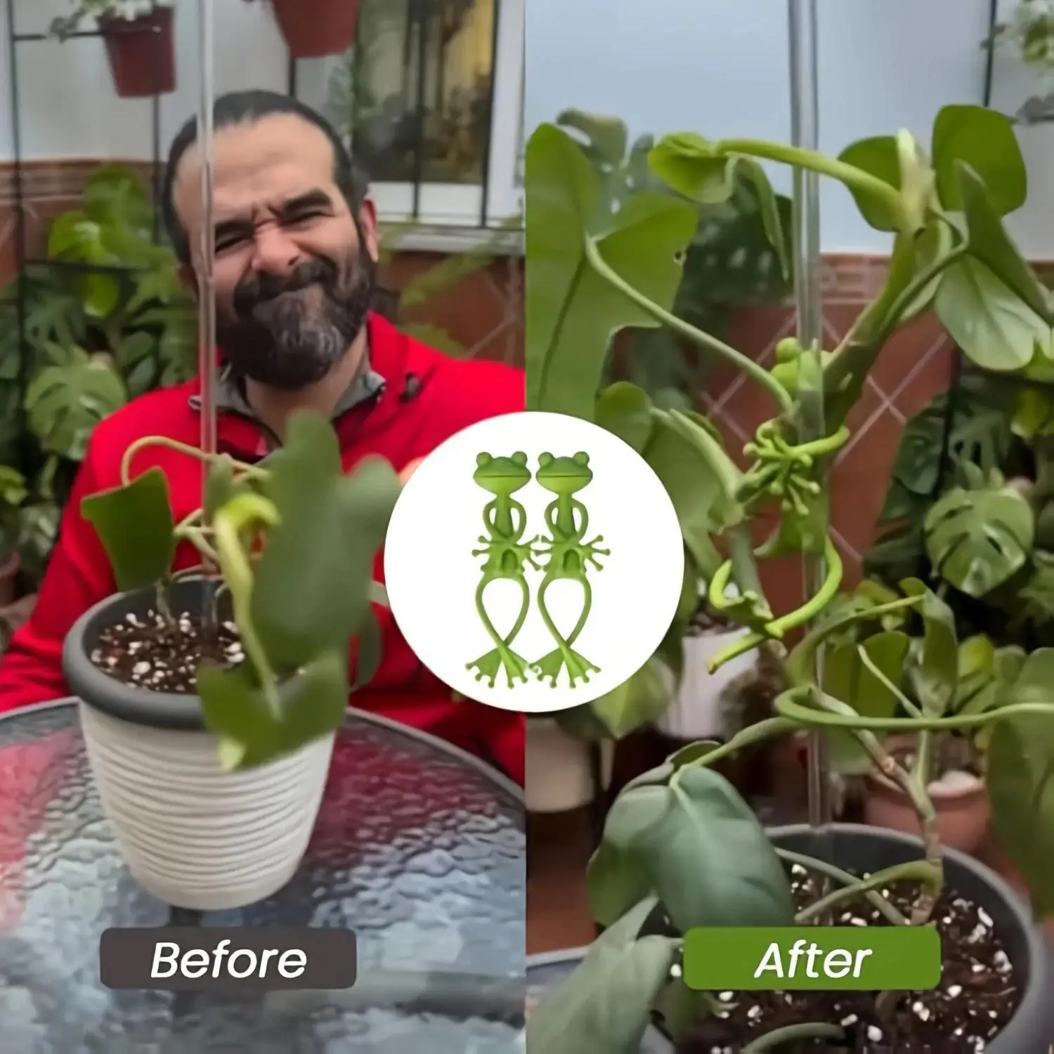 6 قطعة ربطة عنق نباتية على شكل ضفدع قابلة لإعادة الاستخدام ديكور تويست قابل للانحناء حديقة النبات دعم مشبك مرن قابل للتعديل للجذع