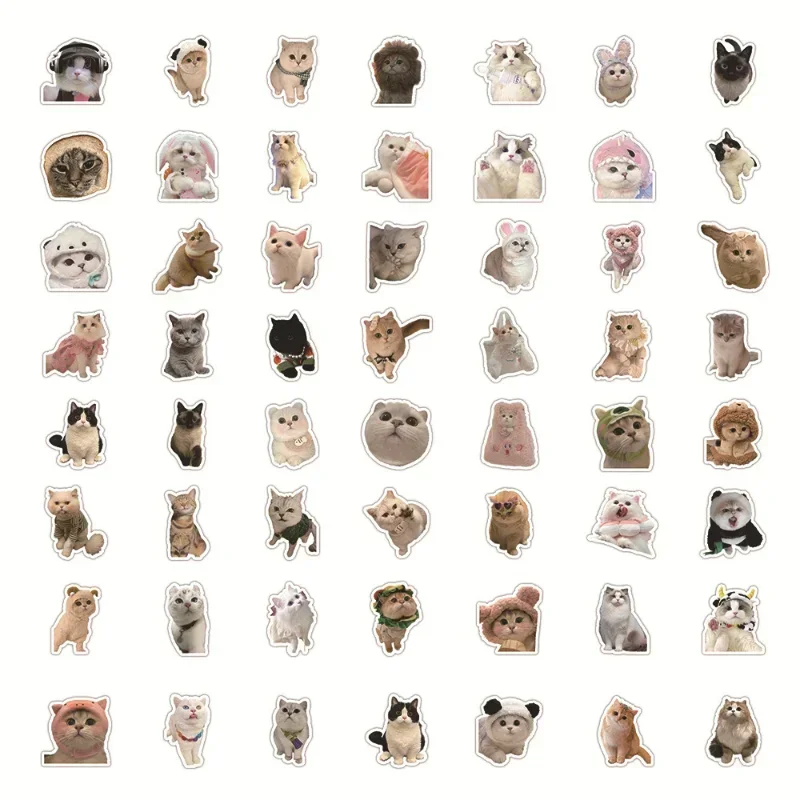 60 Sheet Kawaii Cat Sticker Real Shot Lovely Kitten Sticker DIY Stationery Decorative Scrapbook Phone Sticker Student Supplies