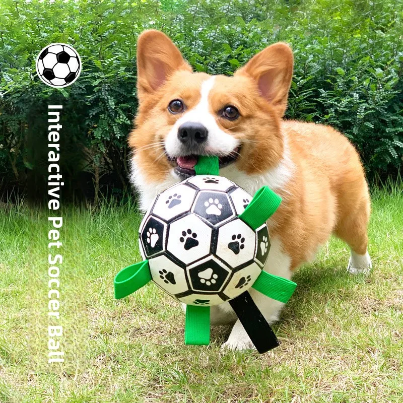 インタラクティブな犬用フットボールおもちゃ-噛みつきに強い退屈解消歯ぎしりペット用品-子犬用-日本製-愛犬犬テディ-c