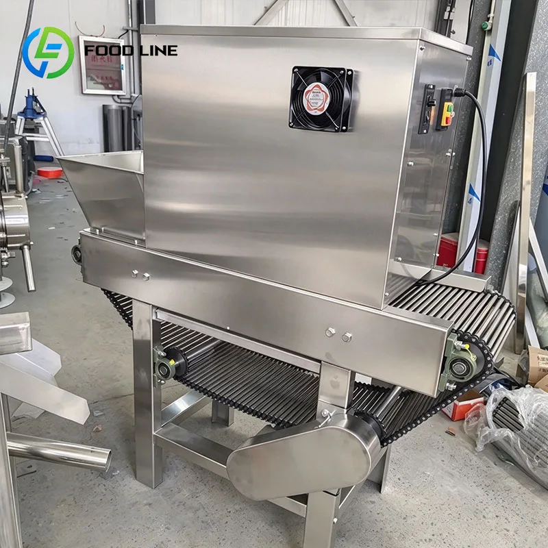 Commercial Onion Peeling Machine Garlic Peeler Conveyor Processing Equipment for Food Factories Customized