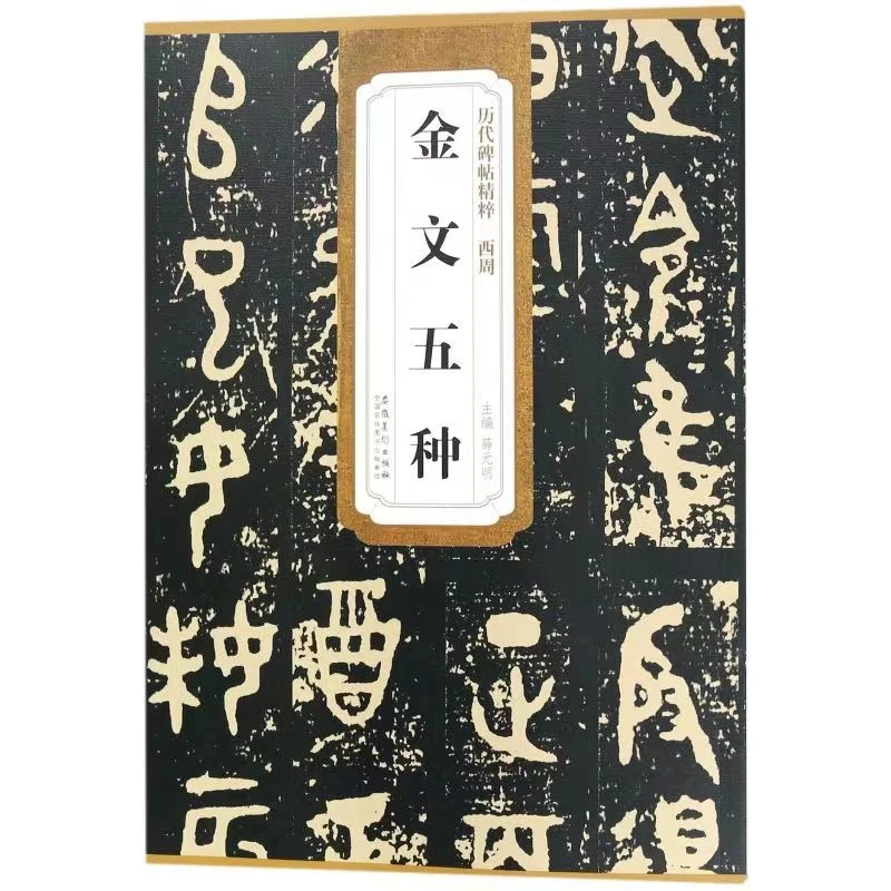 

Chinese Bronze Inscription Calligraphy Book Chinese Jin Wen Calligraphy Explain Book HD Origin Inscription Seal Script Copybook