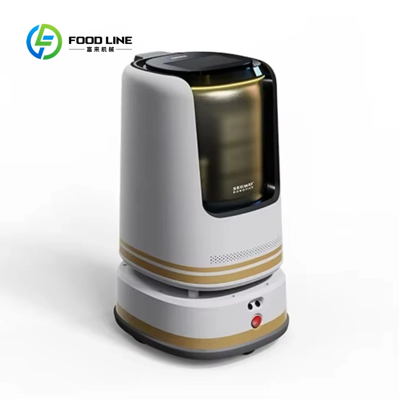 Robot de bras robotique Commercial personnalisé, livraison en plein air, Guide de bienvenue, Restaur