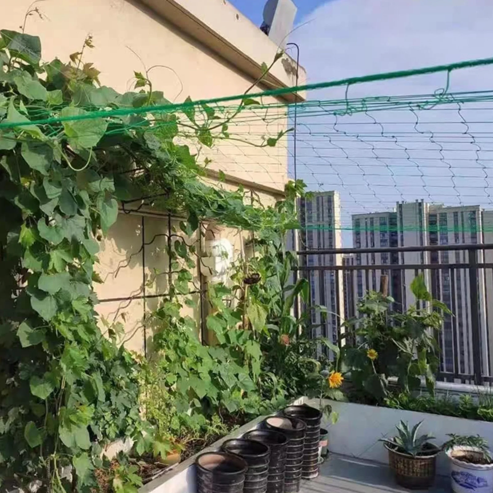 Garden Climbing Net Vegetables Cucumber Net Plant Trellis Support Loofah Morning Glory Flower Vine Netting Garden Accessories