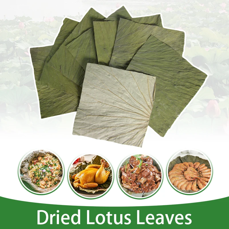 

50/100pcs Natural Dried Lotus Leaves For Cooking Steamed Glutinous Rice Chicken Making Outdoor Food Tray Kitchen Accessories