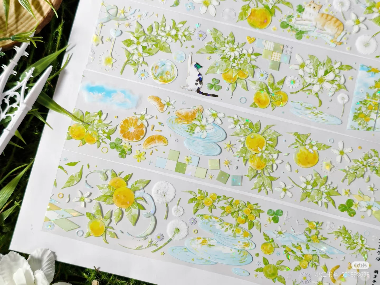 

[Летний послеобеденный] Pet Washi Tape Collage Задняя карта мобильного телефона Оранжевый кот