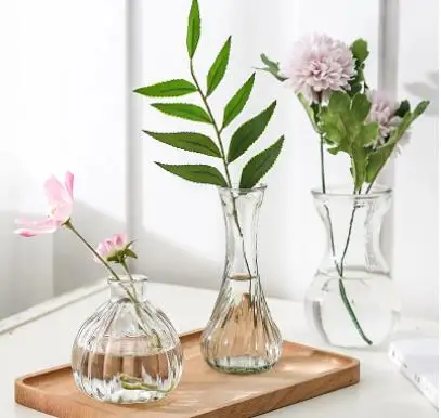Hydroponic Glass Vase Flower Arrangement Plant Container Simple Transparent Mini Countertop Furnishings Art Home Decoration