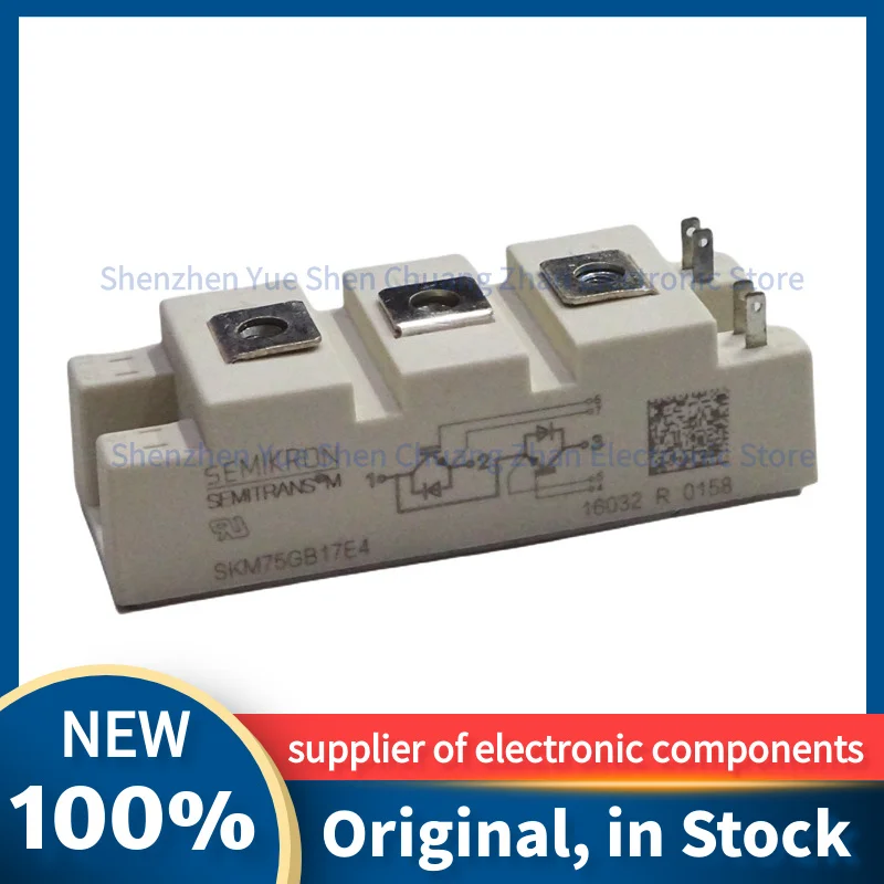 

SKM75GB17E4 SKM145GB176D SKM100GB176D SKM75GB176D SKM75GB173D SKM100GB174D SKM150GB17E4 SKM75GB174D Rectifier Module In stock