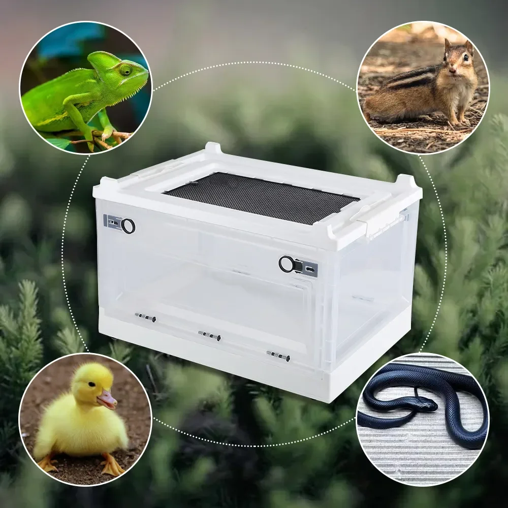 Exotic Pet Breeding Box Plastic Transparent Reptile Breeding Cage Breeding Cage Transport Container Amphibian Habitat Box Lizard