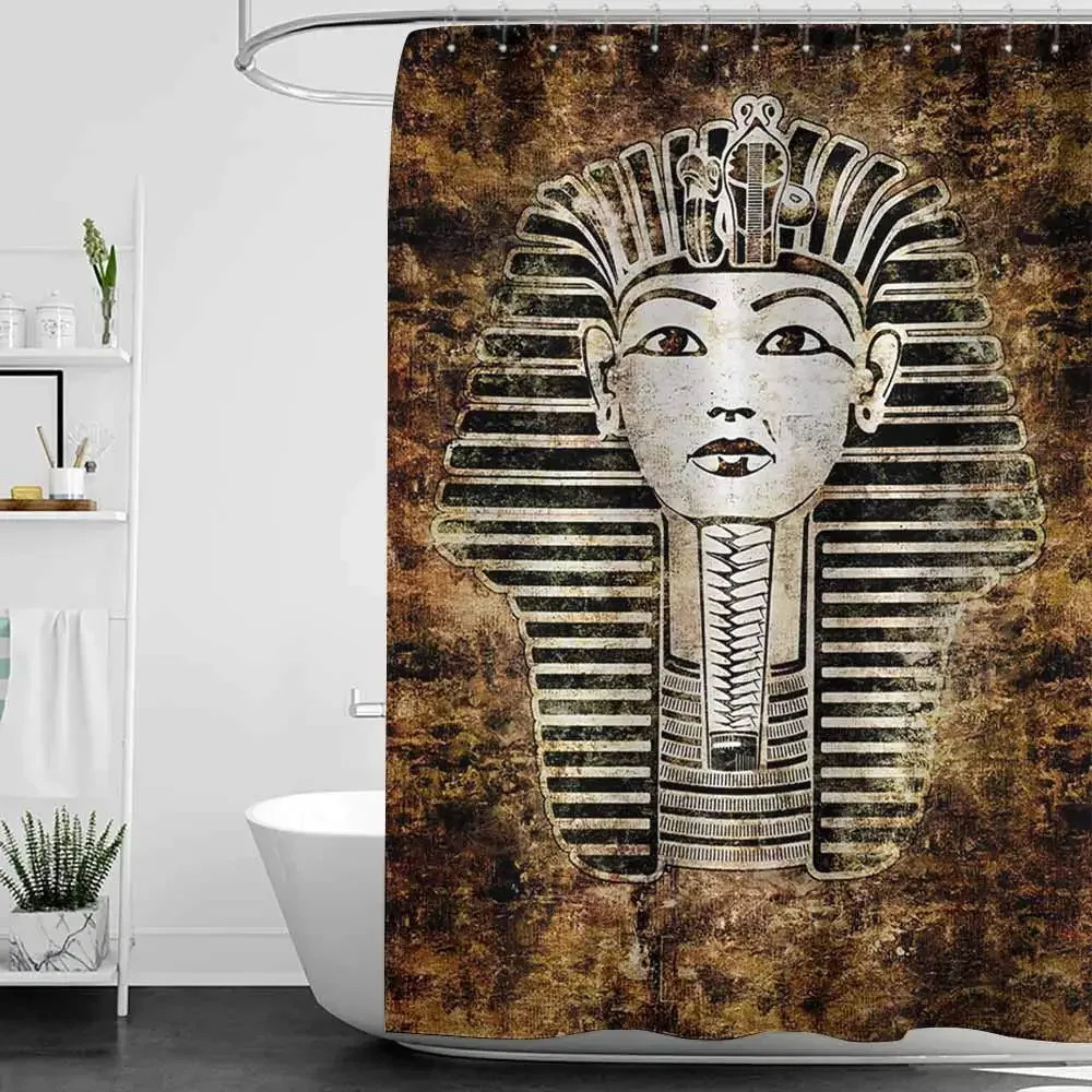 Clear Egypt Ancient Primitive Pharaoh King Mummy Head Image with Abstract Shower Curtain