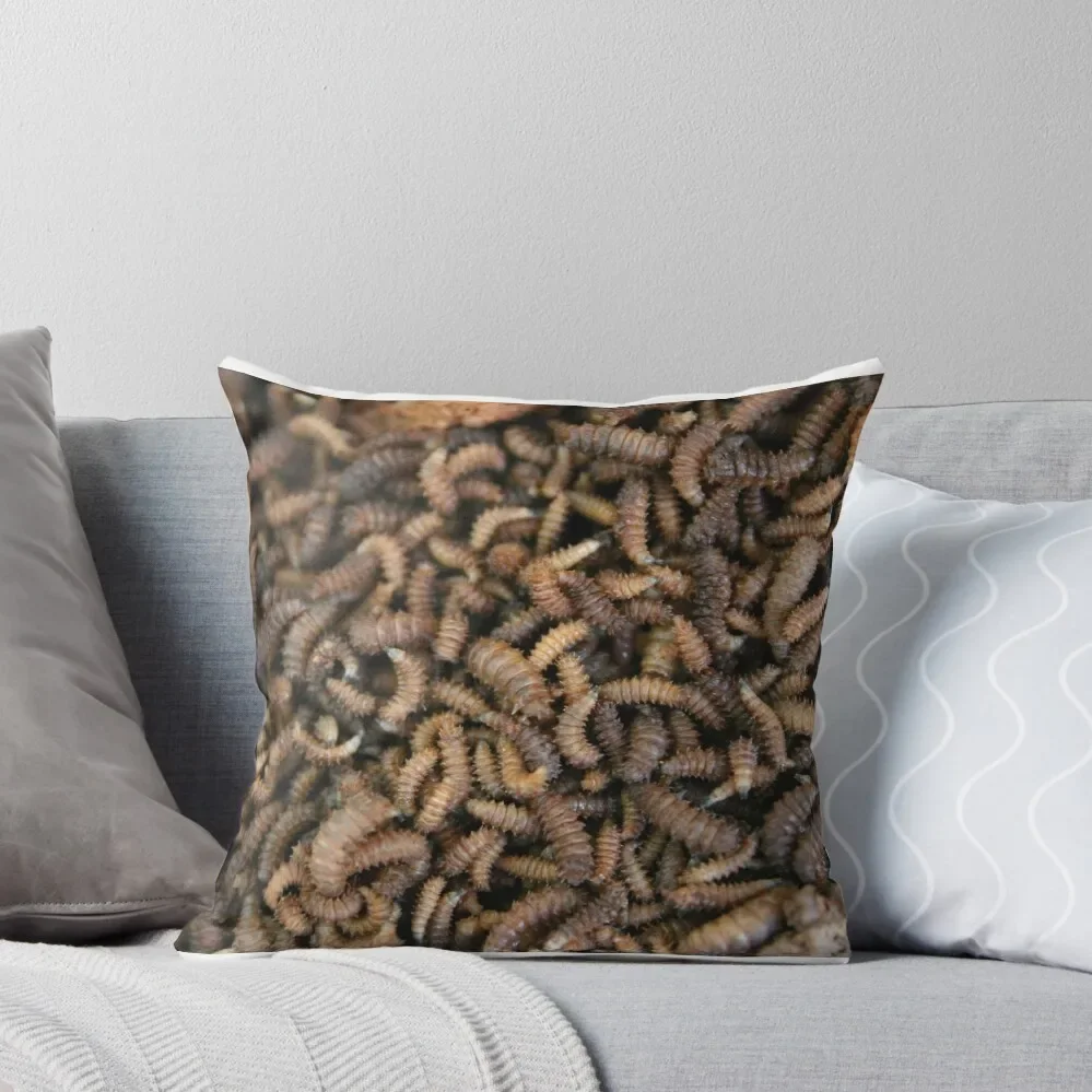 

Maggots Throw Pillow Cushions For Sofa Plaid Sofa pillow