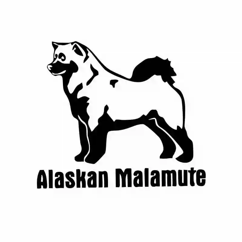 Car Stickers & Motorcycle Shape Stickers. Personalized Alaskan Malamute Reflective Decals for Honda Ford,14cm *11cm