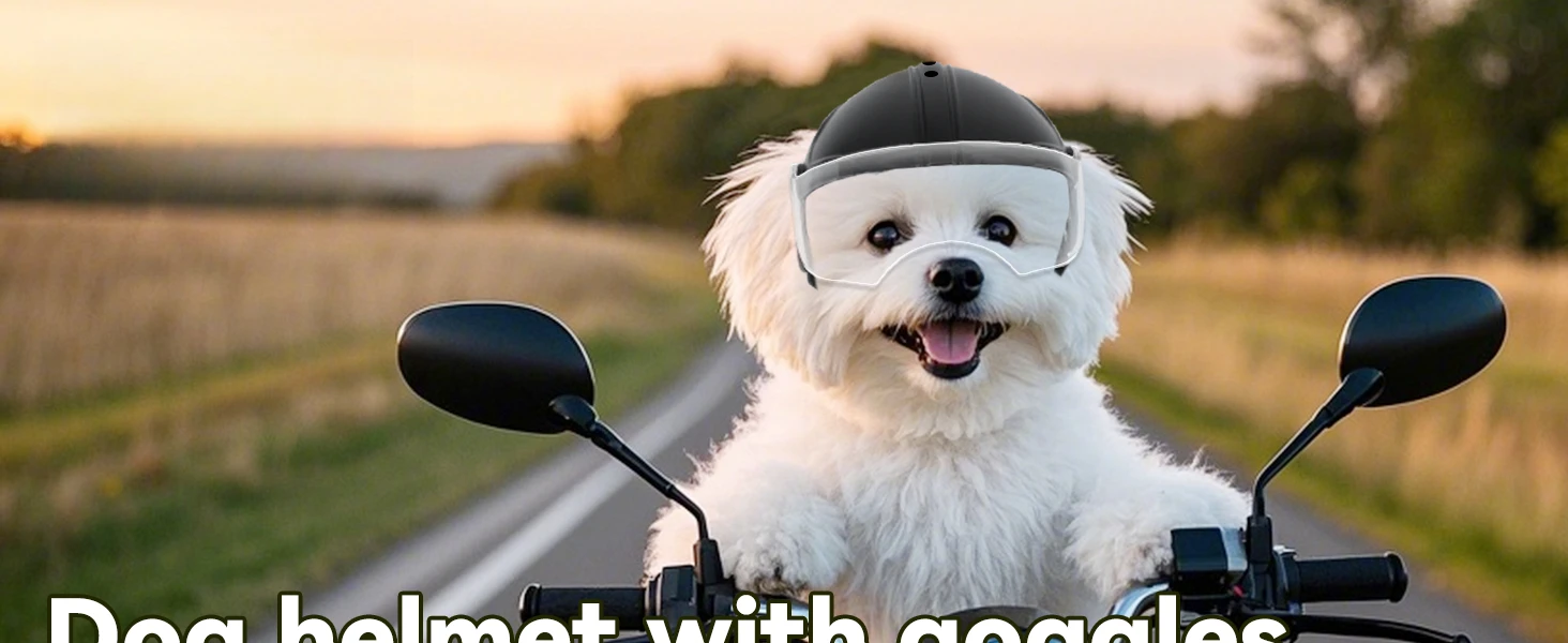 dog helmet