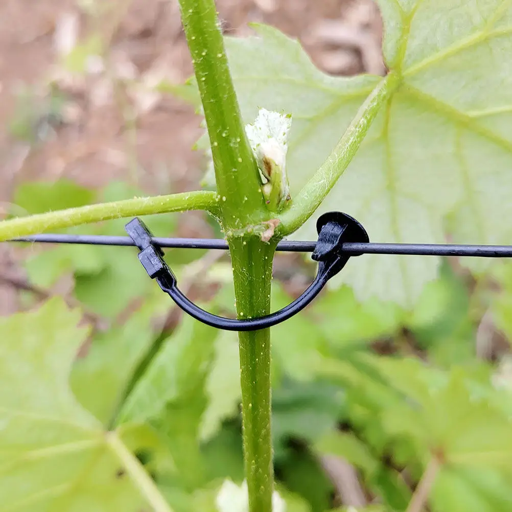 Grape Vine Support Clip Heavy Duty Plastic Plant Clips for Tomatoes Watermelon Climbing Plants Trellis String Stakes