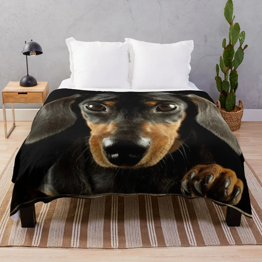 

Dachshund Dog photo portrait Throw Blanket plush queen size blanket giant sofa blanket Ultra-Soft Micro Fleece blanket wool