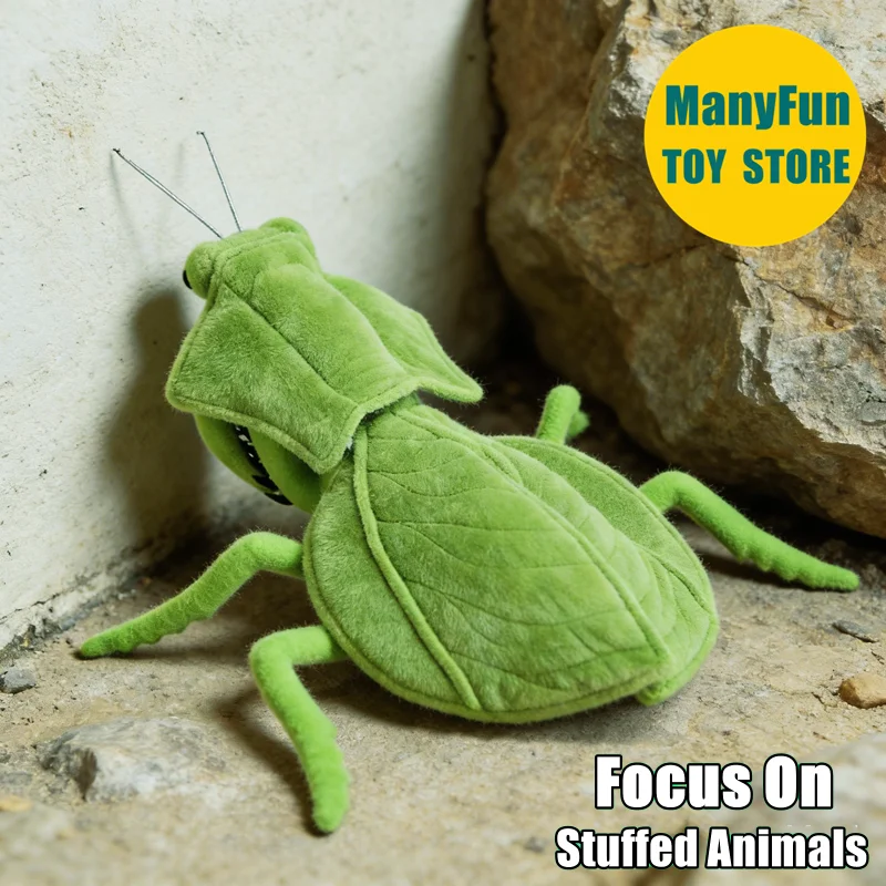 Leaf Backed Mantis Plush Toy Realistic Praying Mantis Plushie Choeradodis Lifelike Stuffed Animal Simulation Soft Doll Collector