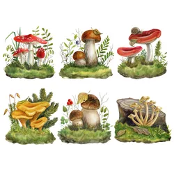 Tri koshki RC070 Mushrooms in the forest Waterproof Kitchen Sticker Decal Kitchen Wall Refrigerator Door Sticker Door Sticker
