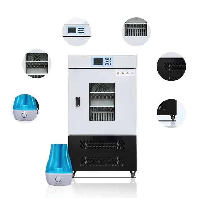 Laboratory Use Microbiology Incubator Equipment Constant Temperature and Humidity Incubator
