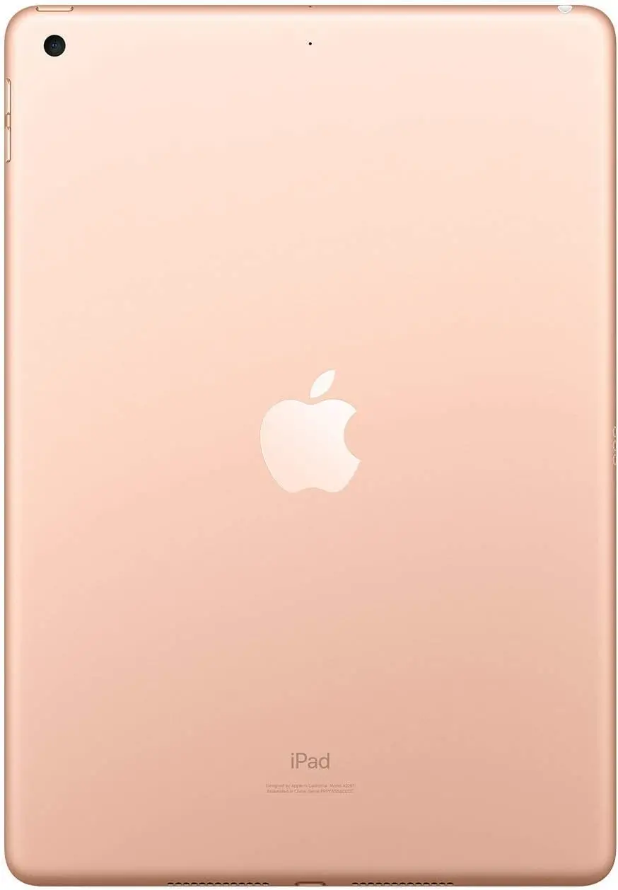 Apple iPad 7a generazione (10.2 pollici, wi-fi, 32GB) 2019 oro (ricondizionato certificato-buone condizioni)