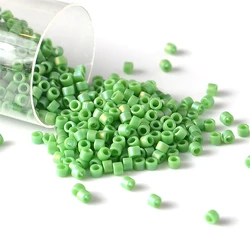 10g/Pipe 1.6mm Miyuki Beads Frosted Rainbow Japanese Delica Glass Seed Bead For French Embroidery DIY Jewelry Making Accessories