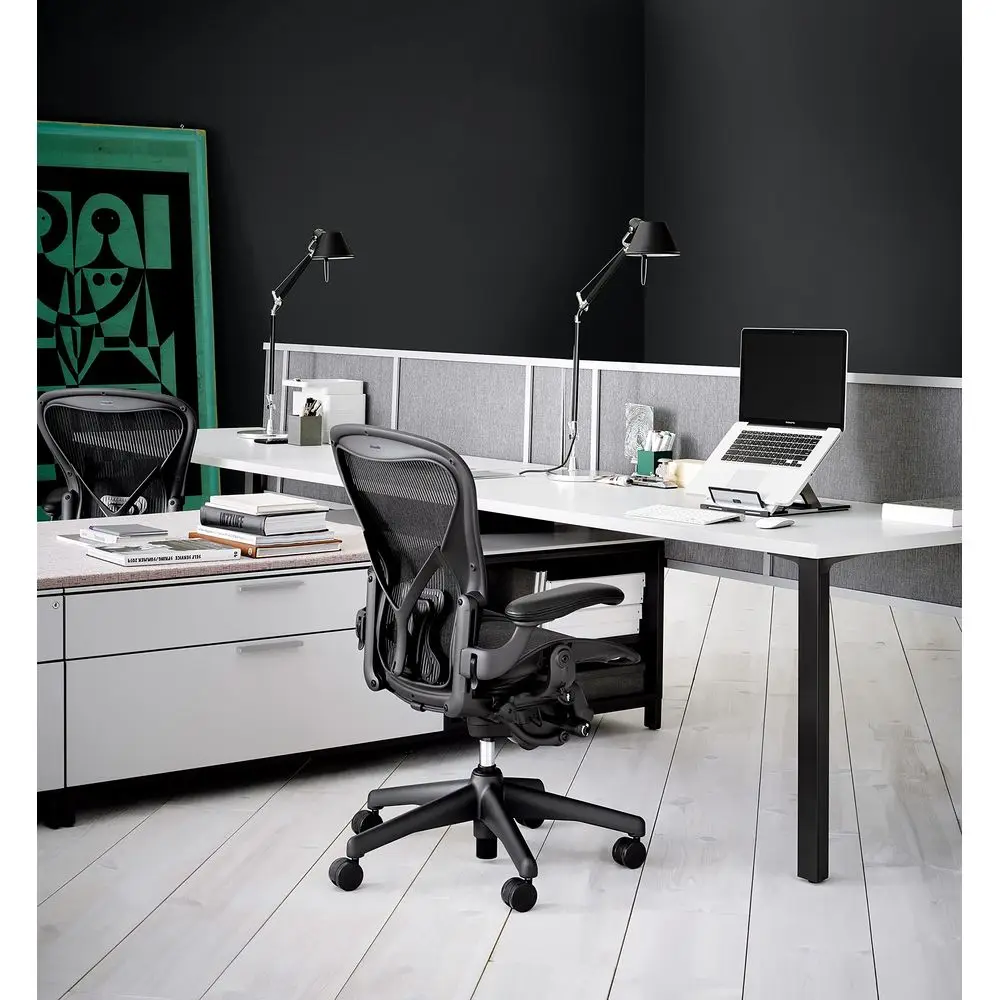 

Aeron Chair Highly Adjustable with PostureFit Lumbar Support and Black Leather Arms Medium Size B Graphite Dark Frame, Classic