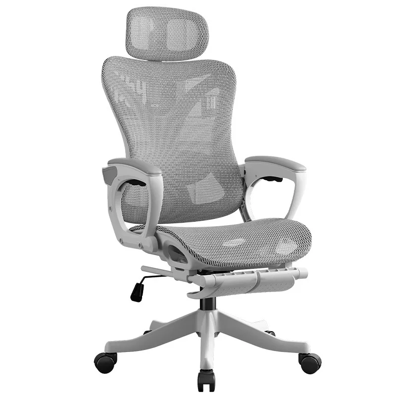 Home Study & Office Ergonomic Computer Chair Back Support Desk Seat for Student Daily Long Sitting Adjustable & Multi-Use