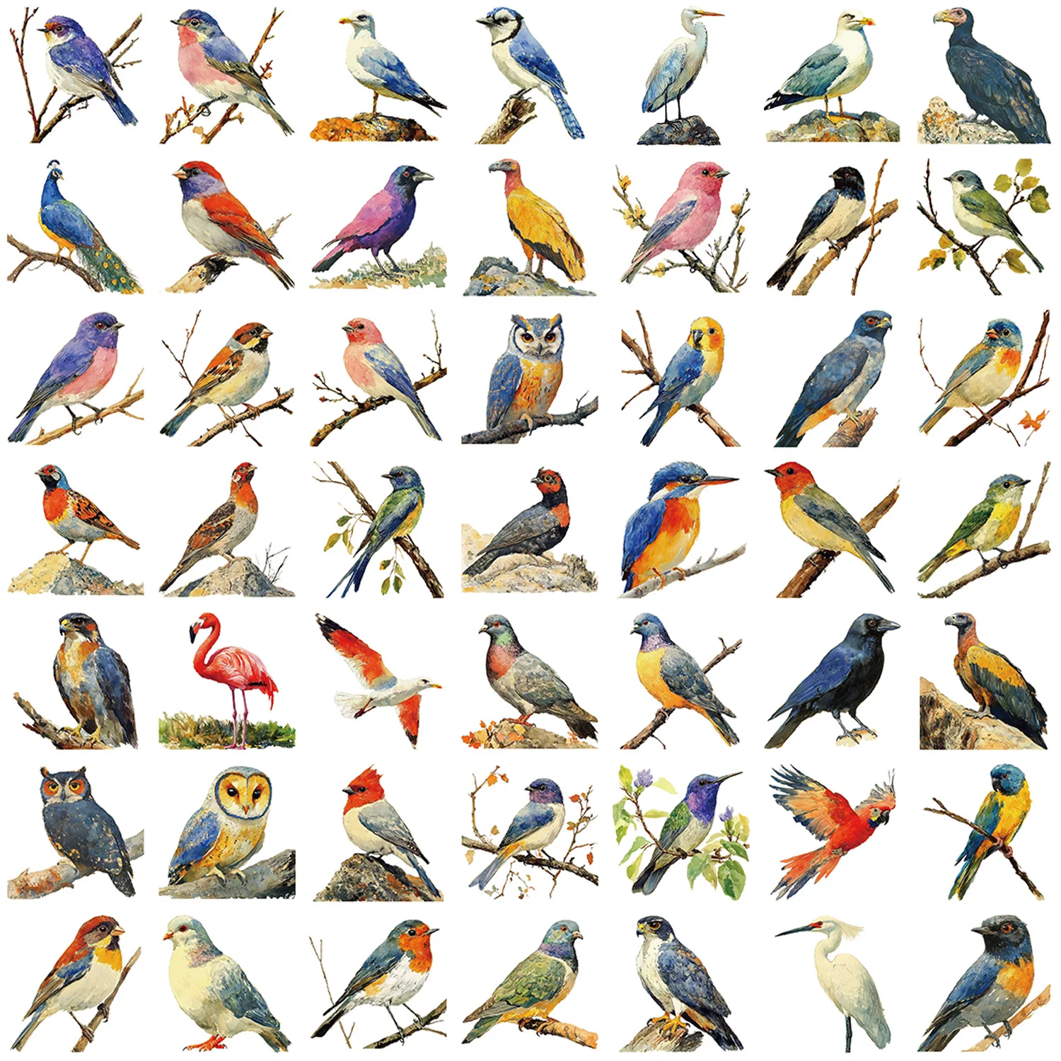 30/50PCS Cartoon Watercolor Bird Graffiti Stickers Decorative Decals for Phone Laptop Guitar Notebook Luggage Waterproof Sticker