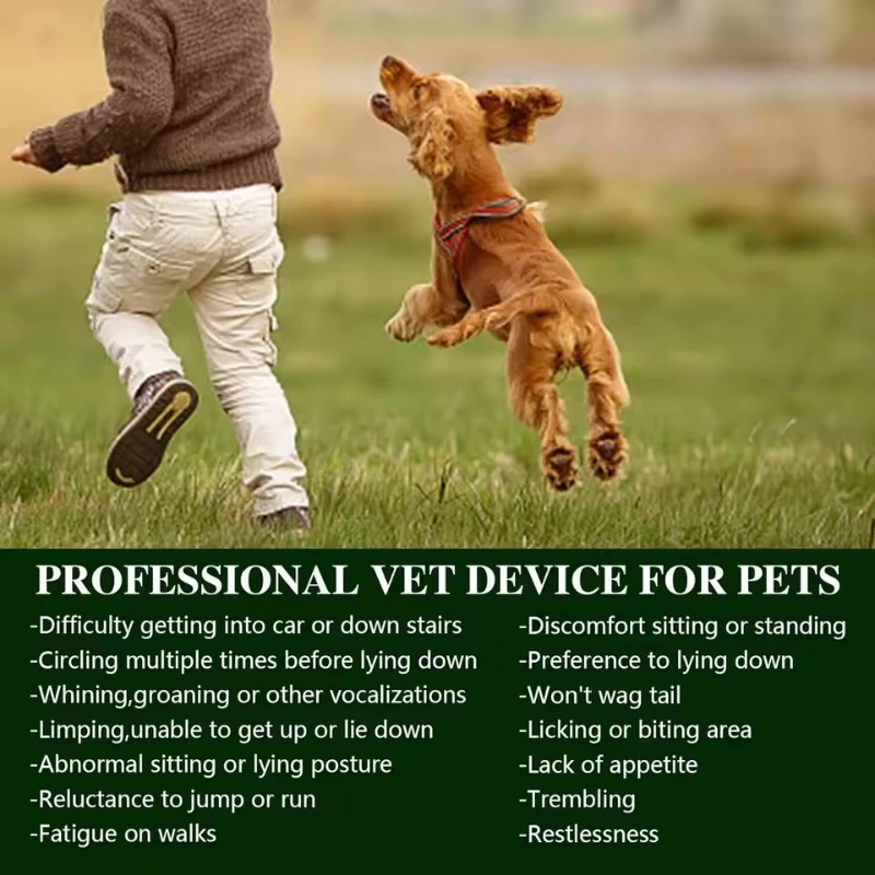

Portable Red Light Therapy Device for Pets Arthritis Treatment Pain Relief Wavelength 660nm*60 Veterinary Equipment