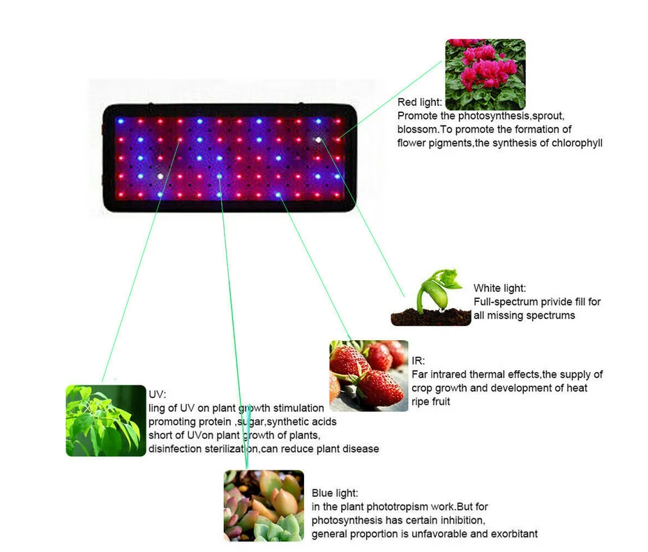 Phlizon atualizado 600W LED Planta Crescer Luz Planta Espectro Completo Crescer Lâmpada Interruptor Duplo Crescer Led para Plantas de Interior Veg e Flor