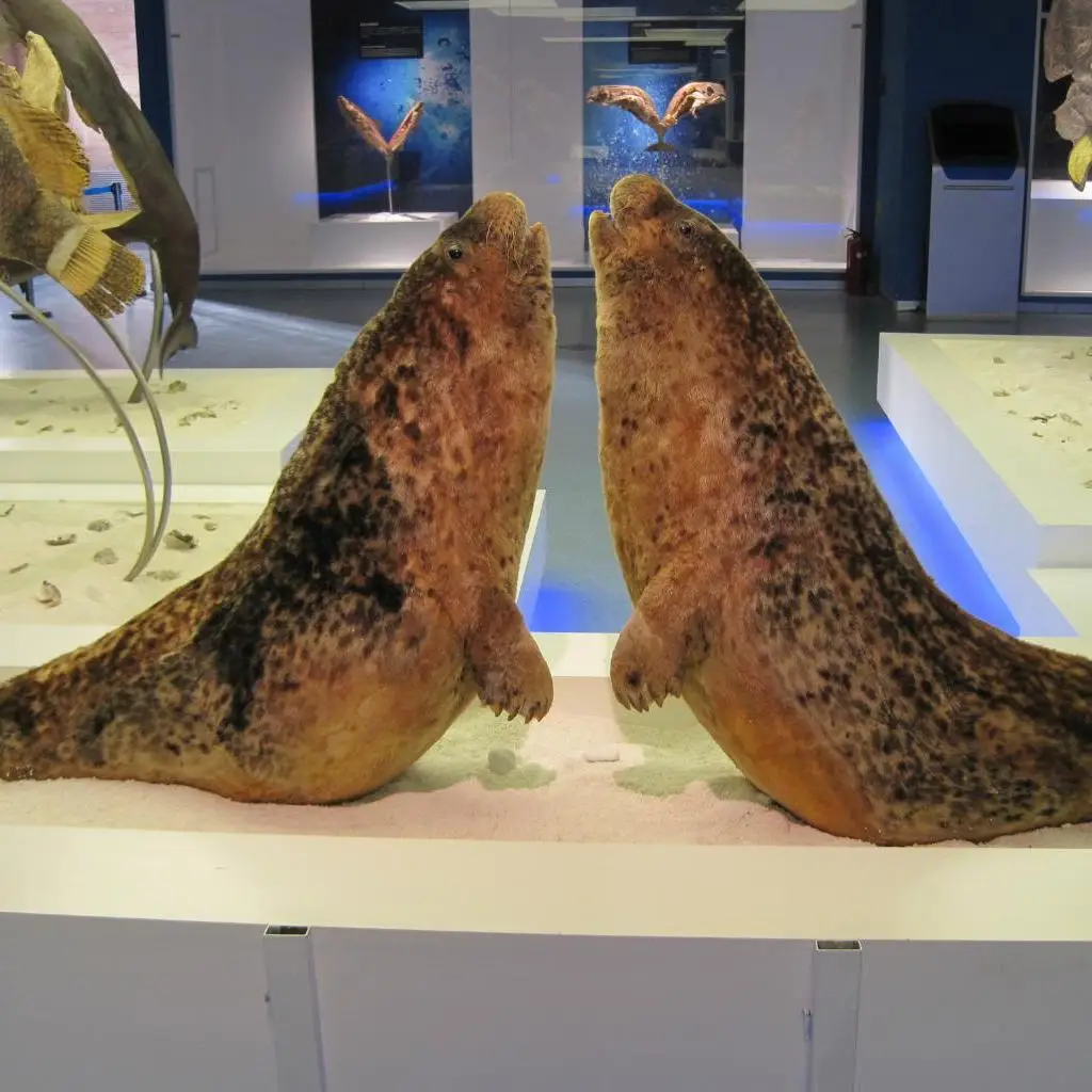 How Math Solvers Enhance Learning and Travel Experiences