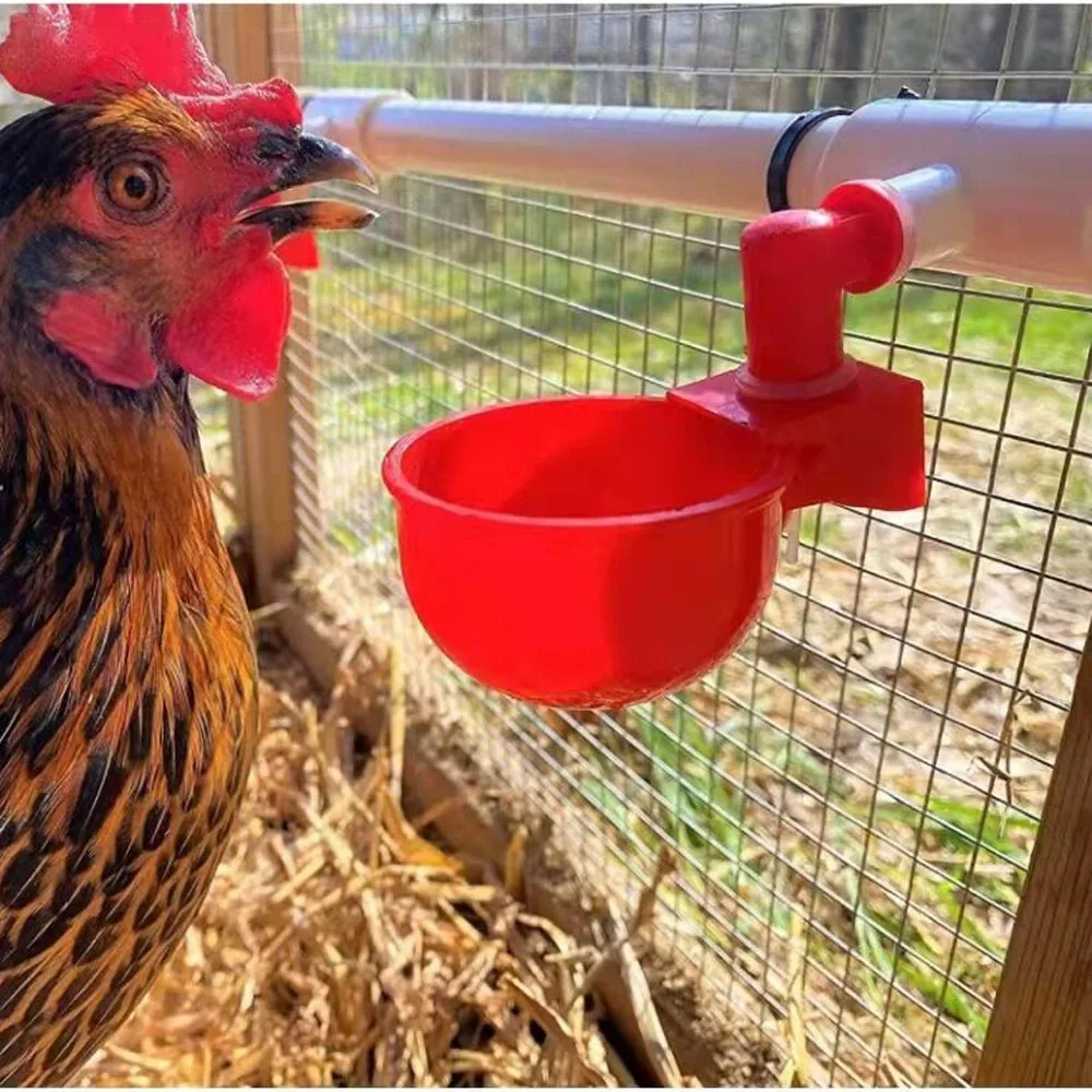 Automatic Chicken Water Cup Waterer Bowl Kit Farm Coop Poultry Waterer Drinking Water Feeder for Chicks Duck Goose Turkey Quail