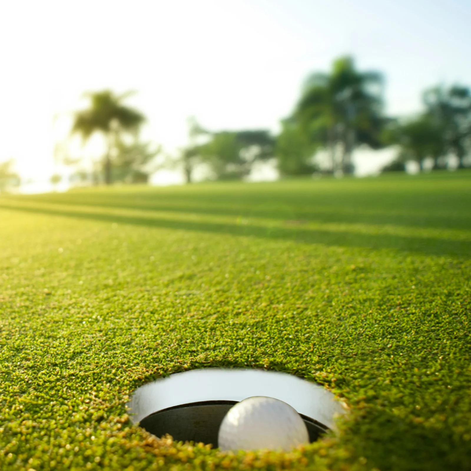 5-teiliges Ösenring-Feldzubehör für Golfschlagnetze, Loch-Übungsbecher, Schutzringe