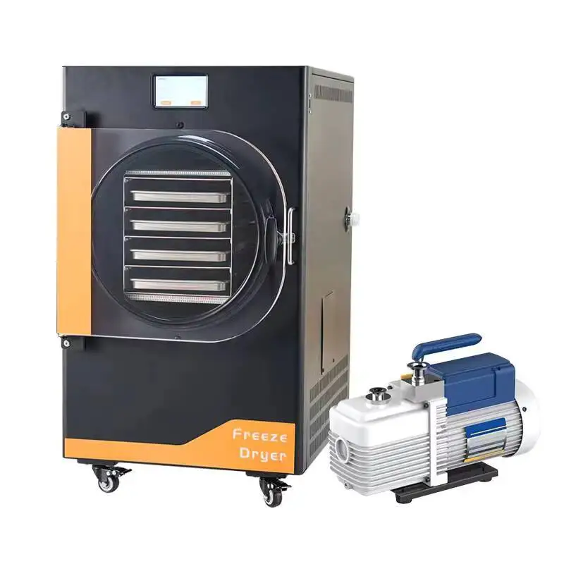 For Home 4Kg Capacity 4-Layer Tray Compact Small Vacuum Freeze Dryer With Pump For Sale