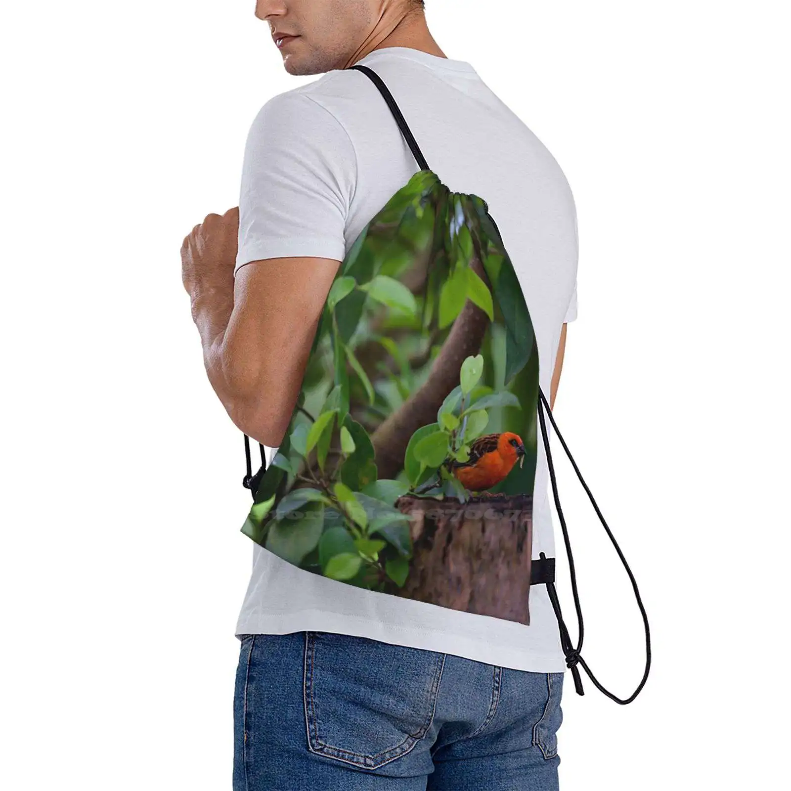 Laptop Travel School Bags for Teens, Red Bird in the Forest, Selva Animais, Descobrir a Natureza, Cores, Verde, Mulheres, Homens