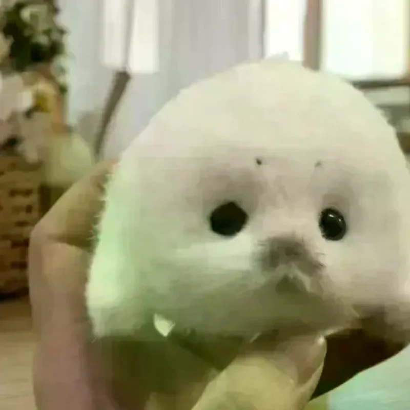 

Cute Baby Seal Doll Plush Toy Pendant Simulation Ocean Toy Souvenir Seal Pendant Gift Doll Bag Pendant