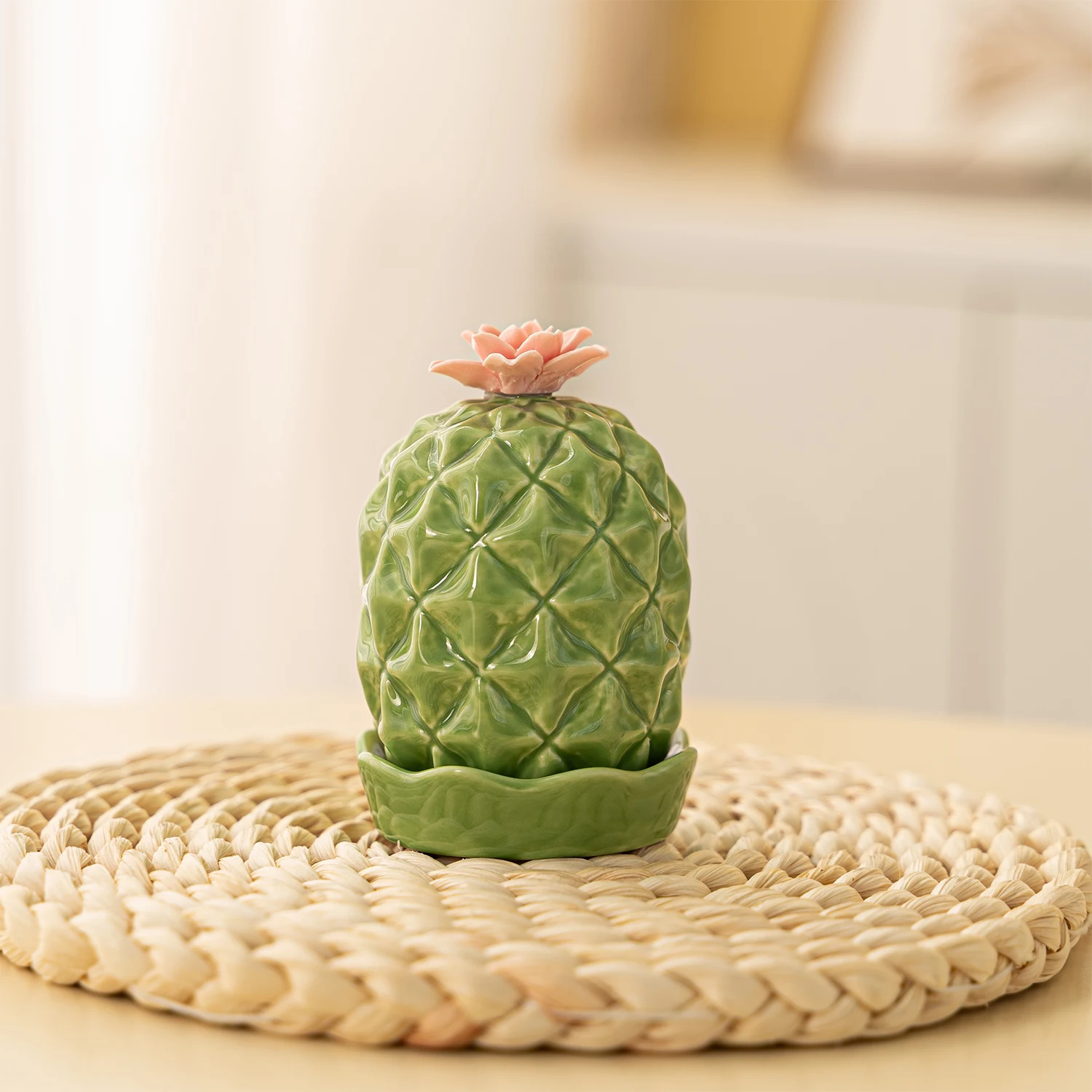 Cactus Ceramic Toothpick Holder Dispenser with Lid Living Room Dining Table Table Decoration Toothpick Jar view 3