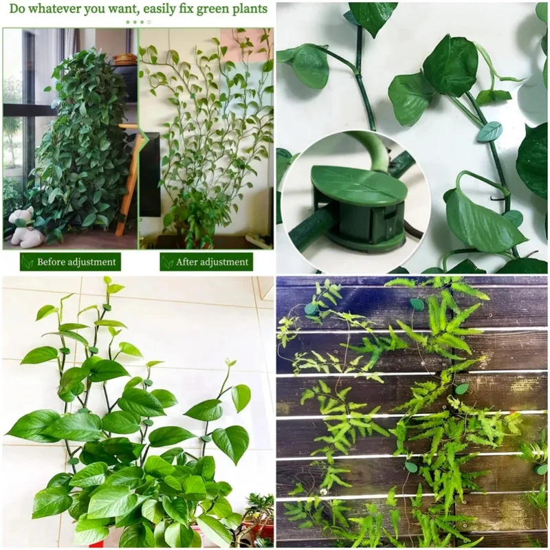 1-100pcs Plant Stand Invisible Plant Wall Climbing Device Vine Bracket Fixed Buckle Leaf Clip Traction Rack Garden Supplies Hook
