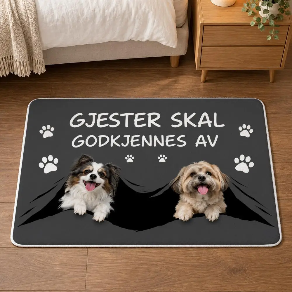 Dog Visitor Approval Floor Mat Flannel Rug Soft Non Slip Door Mat for Bathroom Bedroom Entryway Home Decor Gift