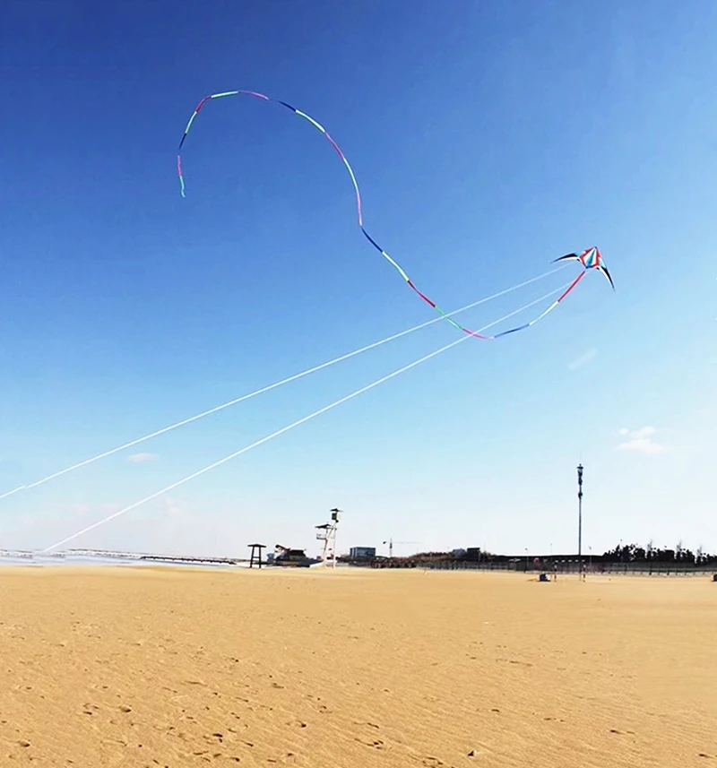 Kites acrobáticos de doble línea de 240cm, pipas voladoras para adultos, línea de cuerdas, pipa profesional, software de aire, pipa extragrande